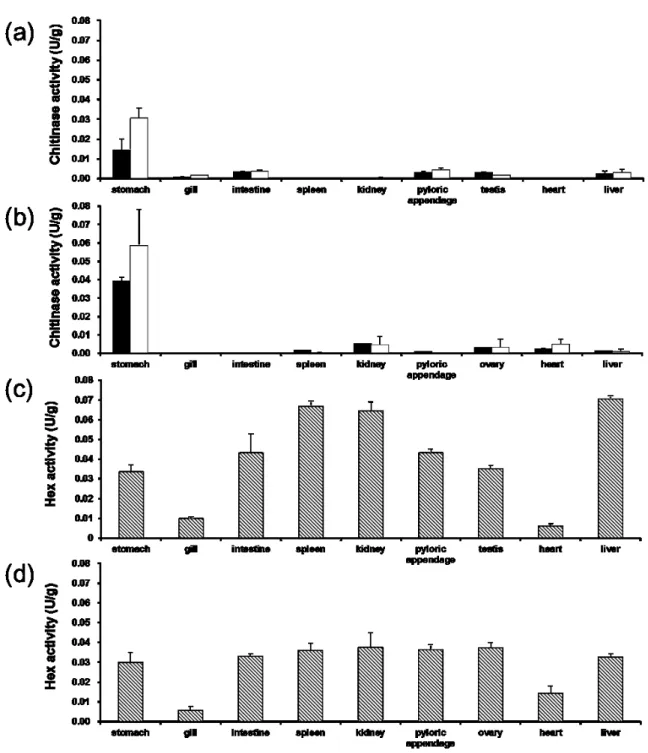 Fig. 2 The distribution of the chitinolytic activities in the body organs. (a) chub mackerel, (b)  silver croaker, (c) chub mackerel, (d) silver croaker