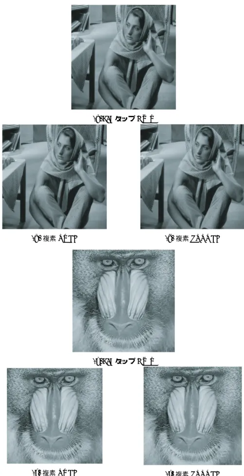 図 4.4 画像圧縮符号化の結果画像． (a) ， (b) ， (c) ： Barbara (PSNR: 34.915 [dB]) ， (d) ， (e) ， (f) ： Baboon (PSNR: 27.592 [dB]) ．