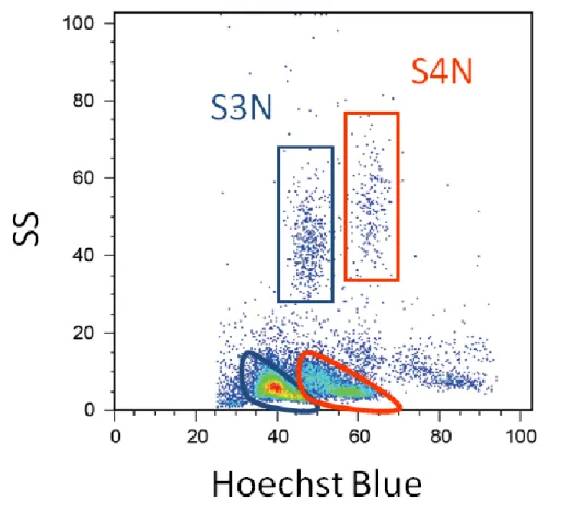 Fig. 2-1. Ploidy analysis of leukocytes by flow cytometry. Leukocytes were obtained from a  S4N  recipient  fish  and  stained  with  Hoechst  33342