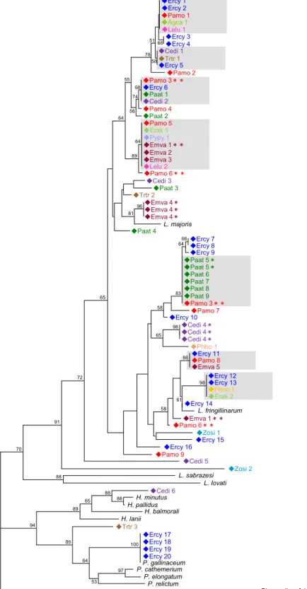 図 2-1.  秩父の森林地帯に生息する野鳥から検出された原虫の分子系統関係 837858 53 ◆Ercy 1◆Lelu 1 ◆Agca 1◆y 2 ◆Ercy 3◆Ercy 4◆Cedi 1◆Trtr 1◆Ercy 5◆ 6◆Paat 1◆Cedi 2◆a  2◆Erak 1◆Pypy 1◆Emva 1＊＊◆Emva 2◆Emva 3◆Lelu 2◆Cedi 3◆Paat 3◆Trtr 2◆Emva 4＊◆Emva 4＊◆Emva 4＊ L