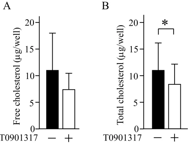 図 3. T0901317 がヒト口腔扁平上皮癌細胞株の細胞内コレステロール量に及ぼす 影響。 ヒト口腔扁平上皮癌細胞株 SAS を、 10 mM の T0901317 で 72 時間処置後 (コント ロールは DMSO 処置)、 1 × 10 6 個ずつ回収し解析した。( A )は遊離コレステロール 量、( B )は総コレステロール量を示した。実験は 5 回行い、その平均値と標準偏差 を示した。 * P < 0.05A B2051015