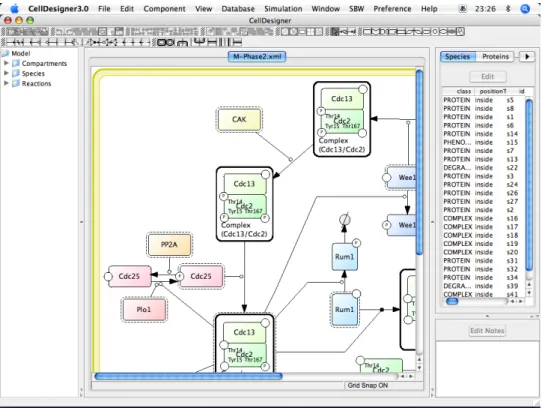 図 2.5 CellDesigner のスクリーンショット · 反応物のリスト (<listOfReactants>) 反応で消費される物質を定義する。 · 生成物のリスト (<listOfProducts>) 反応で生成される物質を定義する。 · 反応速度式 (<KineticLaw>) 反応速度式とそのパラメータの値 (<parameter>) を定義する。 などの項目を含んでおり、これを用いてシミュレーションを行うために必要な情報をさまざまな ツールで共