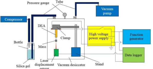 Fig. 2.9 Strain measurement of DEA.