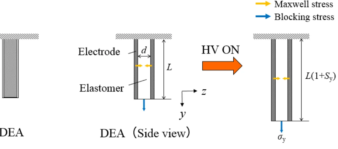 Fig. 2.16 Schematic diagrams of stretching DEA. 