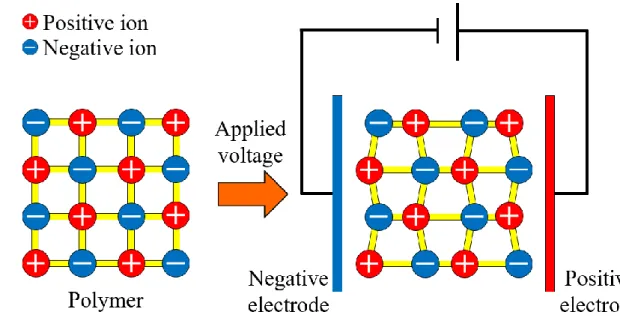 Fig. 3.2 Schematic diagram of ion polarization.