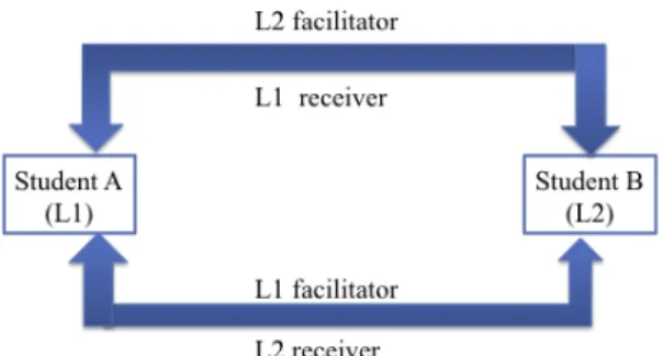 Fig. 4: Dual-role Collaborative Learning 