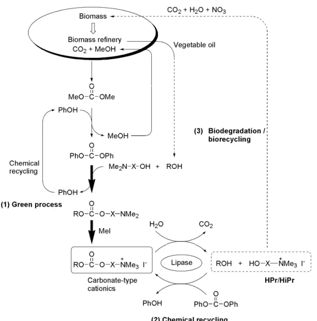 Fig. 2.3  Simplified concepts of the synthesis, chemical recycling and biodegradation of novel  cationics containing carbonate linkages