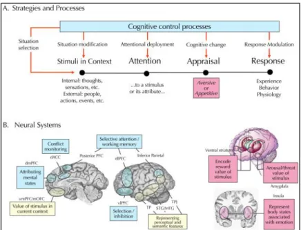 Figure 2.5：A model of the cognitive control of emotion (Ochsner, Silvers &amp; Buhle, 2012, pp
