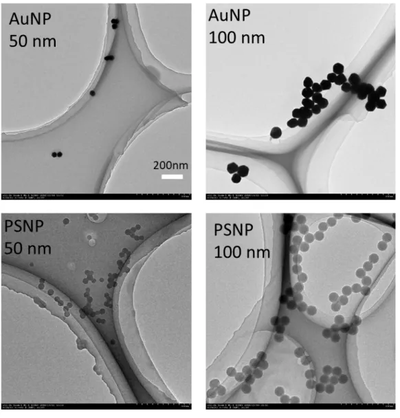Figure S1  TEM images of Au and PS nanoparticles.  