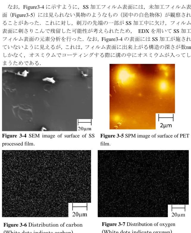 Figure 3-7 Distribution of oxygen      (White dots indicate oxygen) Figure  3-4SEM  image  of  surface  of  SS 