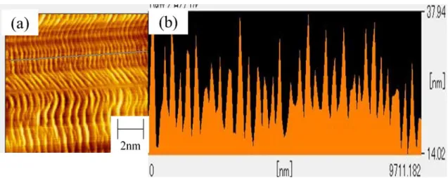 Figure 3-14 SPM image of SS processed film at processing angle θ=165 deg. (a) surface  image, (b) cross-sectional profile at blue line on (a)． 