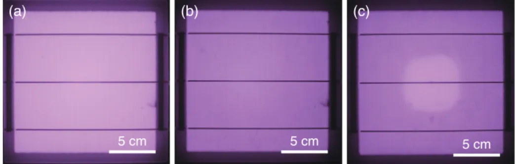 Fig. 4 (a) 5 cm (b) 5 cm (c) 5 cm