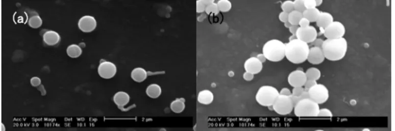 Figure 2-11. SEM images of SP1822 vesicles cast onto  re illumination, and (