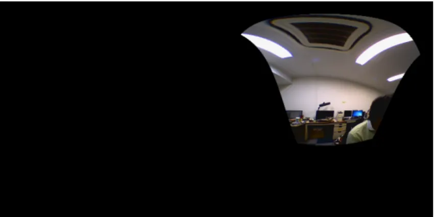 Figure 3.12: A single RGB image warped to equirectangular coordinates.
