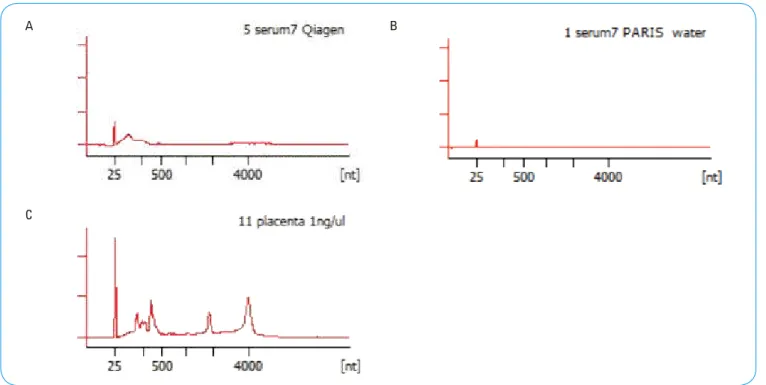 図 2.  Total RNA Pico Assay による電気泳動結果