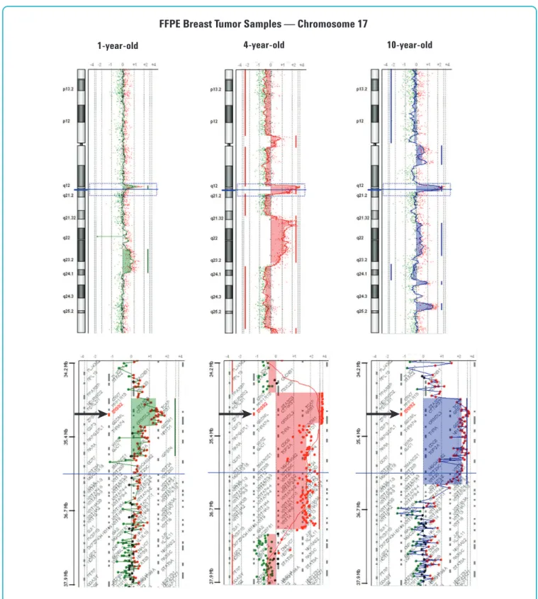 Figure 6. DNA aberrations in 1-, 4-, and 10-year-old FFPE breast tumor samples.  Detection of Chromosome 17 aberrations in a 1- (green), 4- (red) and 10-year- 10-year-old (blue) infiltrating ductal carcinoma samples showing the common human epithelial rece