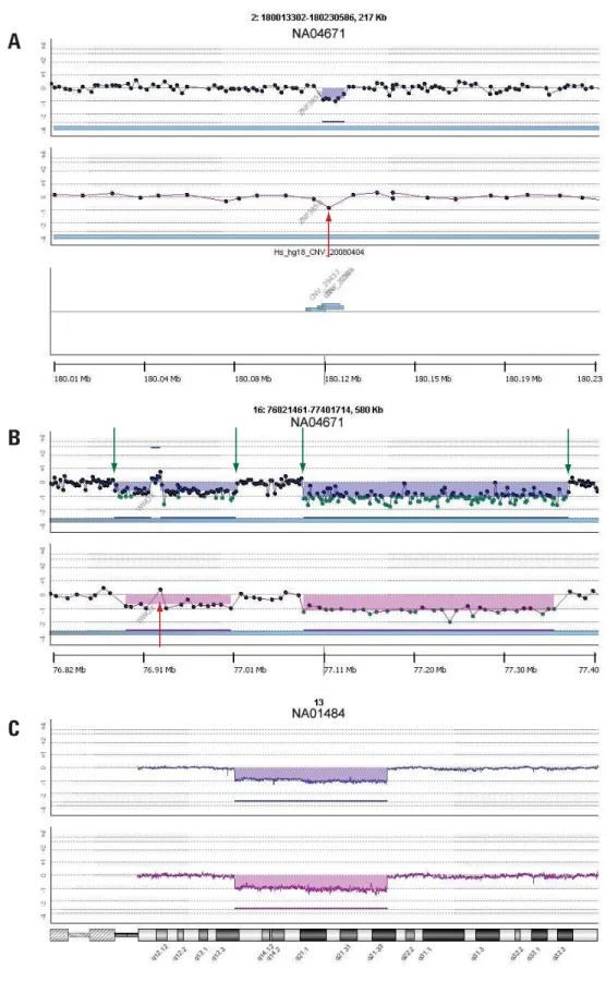 Figure 2. DNA Analytics views of  Agilent SurePrint G3 CGH 1x1M and  SurePrint HD 244K Microarrays