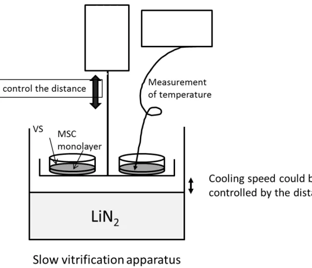 Fig. S2. Schematic illustration of the slow vitrification apparatus for controlling the 