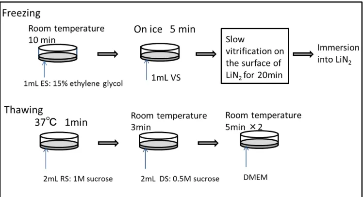 Fig. S3. Protocol of slow vitrification.   