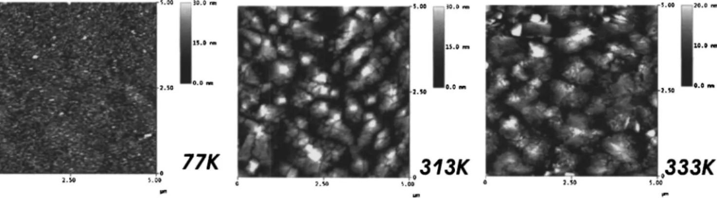 FIG. 7. TM-SFM image of a pentacene film deposited at a substrate tem- tem-perature of 303 K showing a needlelike structure
