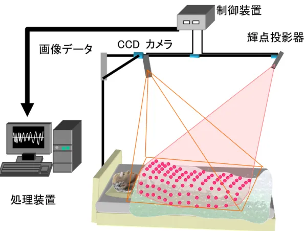 図 2.3  1 カメラ FG による就寝者呼吸監視装置の概略図  例えば輝点投影画像において、 吸気の場合に胸腹部の輝点が左方向に移動する場合には、 呼気において右方向に移動する様子が見られる。処理装置は、1 フレーム間の各輝点の移 動量を累積することで、呼吸運動波形を生成することができる。  この 1 カメラ FG 呼吸モニタにより測定された胸郭部の動きと、換気量が対応している ことが、スパイロメータ等を用いた実験により示唆されている。  ここで、1 カメラ FG 呼吸モニタで測定される呼吸パターンの例