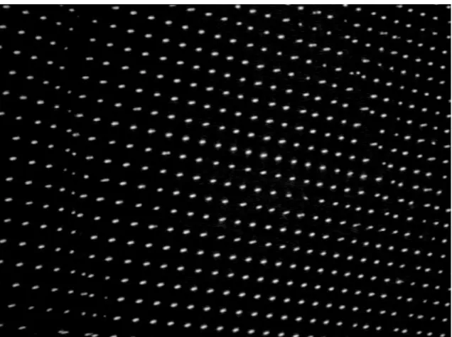 図 3.3  Respiration Camera で撮影された輝点投影画像 