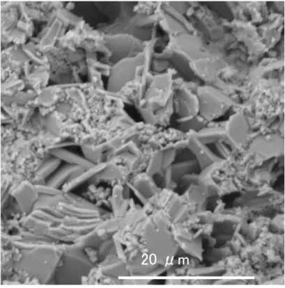 図 1.1 : SEM で撮影した SmO 0.7 F 0.3 FeAs の表面の様子 で新物質探索の研究は盛んに行われてきているが、一方でそのピンニング構造の解明や キャリアドープの最適化についての研究も精力的に行われてきている。本研究では、 FeAs 系超伝導体の中でも高い T c を持つ SmO 1−x F x FeAs について、作製法や F 置換率の違う 多結晶焼結体バルク試料を用意し T c や J c の磁場依存性 (J c -B 特性 ) 、 J c global 、 J c local の