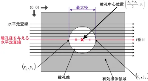図 昨年度までの瞳孔中心位置計算方法