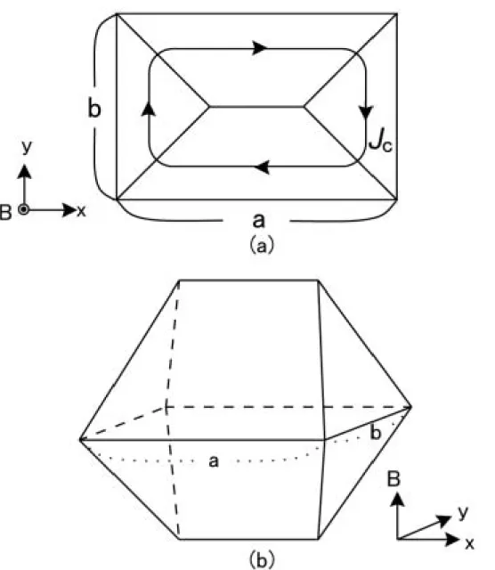 図 2.2 (a)4 方 向 か ら の 磁 束 線 の 侵 入 し た 場 合 の 電 流 の 流 れ 方 (b)4 方 向 か ら 磁 束 線 が 侵 入 し た 場 合 の 磁 束 分 布