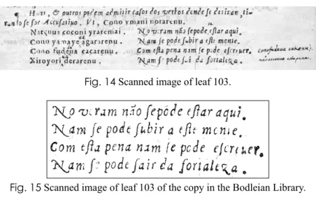 Fig. 14 Scanned image of leaf 103.