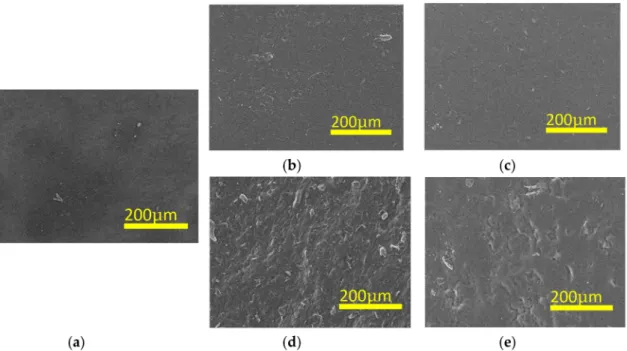 Figure 2. SEM images of (a) PVA-H and PVA-GO-H. Oxidation time and concentration of GO: (b) 0.5 h 0.05%, (c) 30 h 0.05%, (d) 0.5 h 0.4%, (e) 30 h 0.4%.