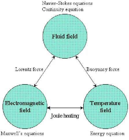 Fig. 2.2    Interaction with flow field, temperature field and electromagnetic field 
