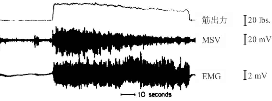 図 1.1 最大筋力維持時の EMG と MSV の比較．文献 (Barry et al., 1985) を基に改変． ( 以 後 ， PC 作 業 ) 後 に 生 じ る 肩 こ り な ど の 慢 性 的 性 質 か ら ，低 筋 力 を 長 時 間 か つ 断 続 的 に 持 続 す る 筋 収 縮 条 件 で 生 じ る 筋 疲 労 に は 電 気 的 疲 労 よ り も む し ろ 機 械 的 疲 労 が 関 わ っ て い る と 予 想 で き る ． 図 1.1 に お い て ， MSV 