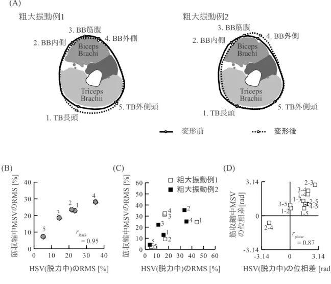 図 2.5 粗大振動の比較方法． (A) 上腕断面に生じる変形例．極端に誇張して描いている．左の 例では上腕部が前 - 後方向に，右の例では内側 - 外側方向に振動している． (B) 相関係数 r RM S の計算． (C) 異なる粗大振動パターンを含んだ r RM S の算出． (D) 相関係数 r phase の計算． (B)(D) は， (A) の粗大振動例 2 について相関係数を求める様子を示している．図中のプロット のに添えた数字は， (A) に示した計測点番号，または，その組み合わせを表す． と