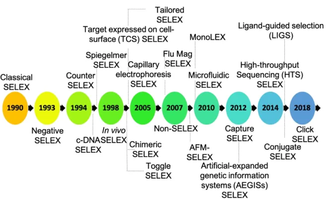 Figure 2. The timeline for the development of SELEX technology from beginning. This flow- flow-chart demonstrates the modification of SELEX developed with the progressing time to meet  the challenges of conventional technique