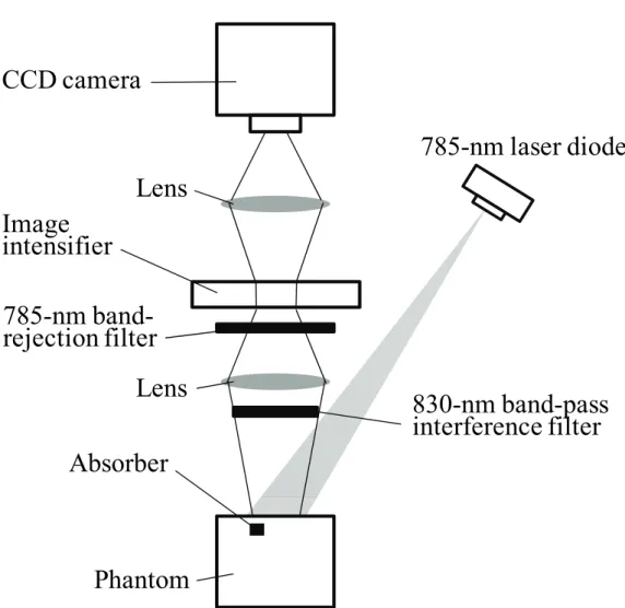 Fig. 7    Schematic of noncontact acquisition of fluorescence with ICCD camera by  the illumination of plane light wave (adapted from Thompson et al., 2003; Roy et al.,  2005)