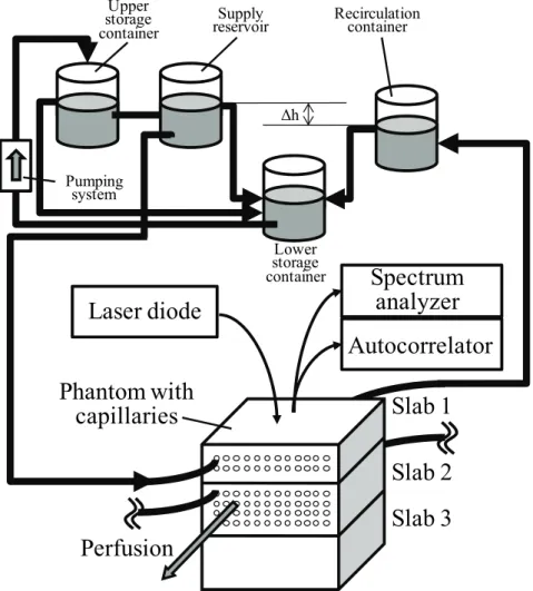 Fig. 12  Schematic of the liquid circuit for perfusing phantom for laser-Doppler  flowmetry instruments (adapted from Lohwasser and Soelkner, 1999)