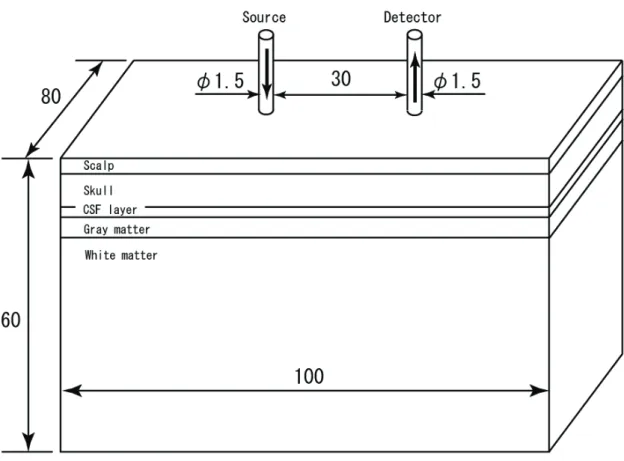 Figure 26 shows photon paths calculated by Monte Carlo simulation applied for  the assumed head layer model