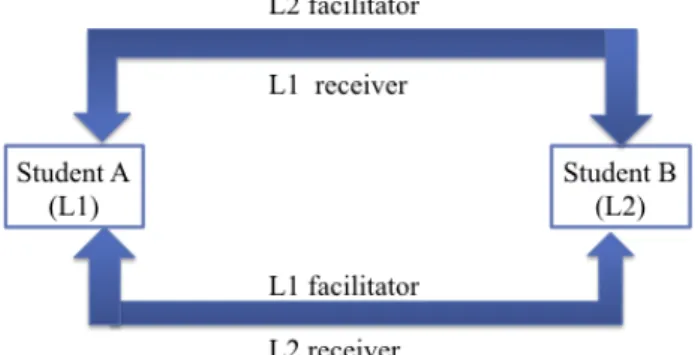 Figure 4: Dual-role Collaborative Learning 