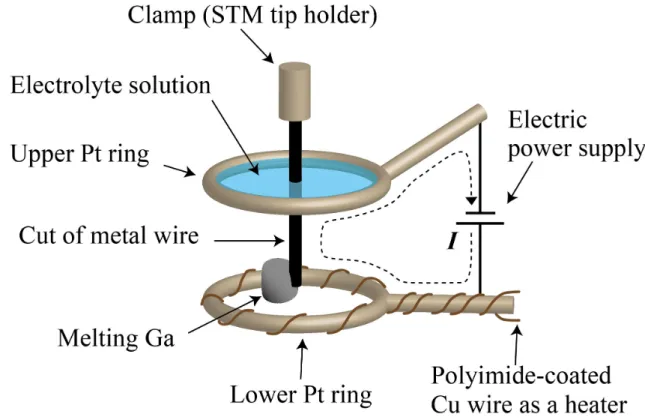 Figure 2    Schematic of the setup of electrochemical etching with a liquid metal electrode
