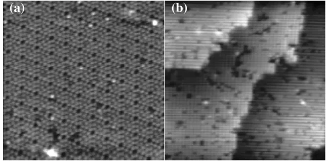 Figure 6    STM images taken with W tips fabricated using the liquid metal electrode. (a) STM  image of a Si(111)-7×7 surface; scanning area: about 18 nm to 27 nm, tunneling current: 0.05  nA,  tip  voltage:  -1.5  V