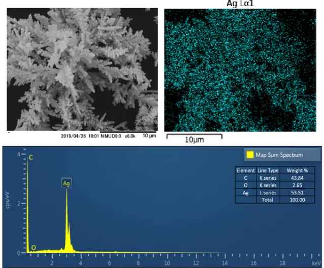 Figure 2. EDX data of as synthesized silver dendrite onto the GCE surface. 