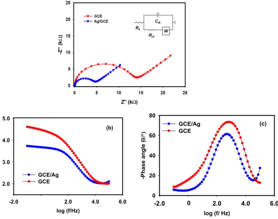 Figure 5. Nyquist plots (a), bode module plots (b) and (c) bode phase plots of 2.9  mM AA in 0.1 M PBS (pH~7.0) at bare GCE and Ag/GCE