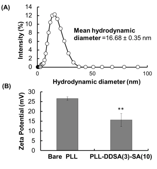 Figure S2. Characterization of bare PLL and hydrophobic polyampholyte (PLL-DDSA(3)- (PLL-DDSA(3)-SA(10)) in PBS(−) buffer by using dynamic light scattering analysis