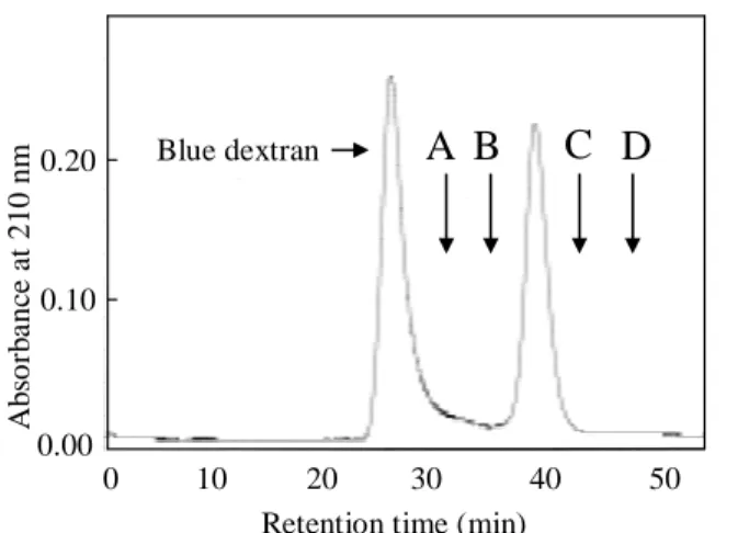 Figure 26. Chromatogram using superdex 75  10/300 GL connected to a FPLC system; 