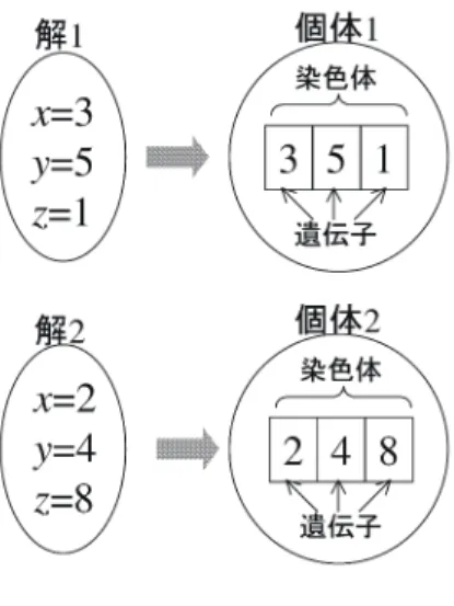 図 染色体へのコード化 染色体表現 遺伝的アルゴリズムでは，例えば図 のように，一つの解候補を一つ の個体として捉え，記号列として表現した解に関する情報を，個体の染 色体にコード化する。染色体上で 個の遺伝子が占める位置を遺伝子座， 同じ遺伝子座を占め得る何種類かの遺伝子を対立遺伝子と呼ぶ。 個の記号の並び を 個の遺伝子座からなる染色 体とすると， は第 遺伝子座における遺伝子であり， の取り得る値 が対立遺伝子である。対立遺伝子としては，ある整数の組，ある範囲の 実数値，単なる記号など，様々なものを考え