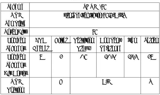 図 4.4 タグ URI と Pure Identity URI