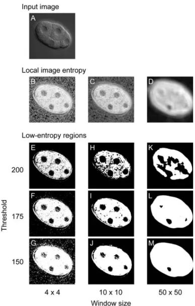 Figure 2.2 Effect of window size and threshold value on production of low- low-entropy regions