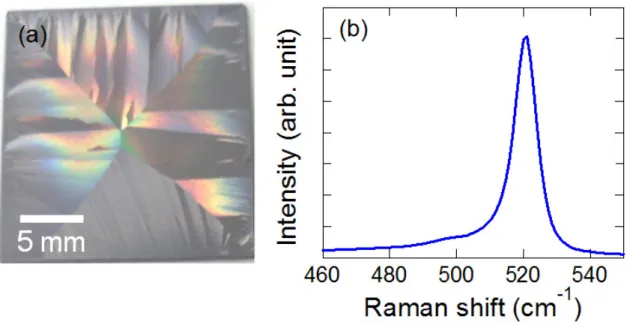 Figure 1    K. Ohdaira  et al ., 
