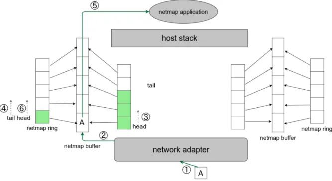 図 2.10: netmap モードにおけるパケット受信の流れ